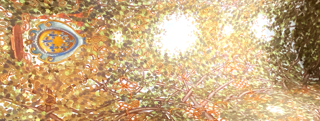 Palazzo Farnese di Caprarola. Sì, non è il Castello Sforzesco di Milano con un dipinto di Leonardo da Vinci. Vi trovate sotto una pergola molto speciale, dove fu utilizzato una buona quantità di oro per la decorazione.